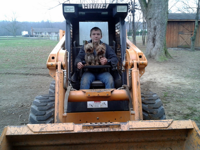 Mike, our grandson, with Pansy & Jo Jo on the loader collecting firewood